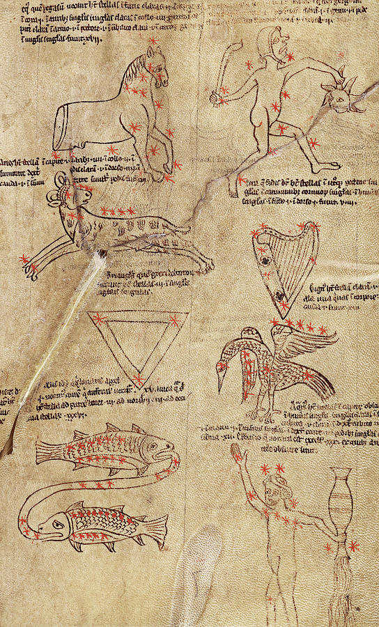 Medieval Constellations Photograph by The Getty/science Photo Library