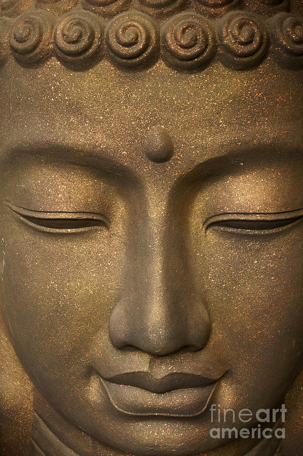 Meditating Buddha Photograph by John  Mitchell