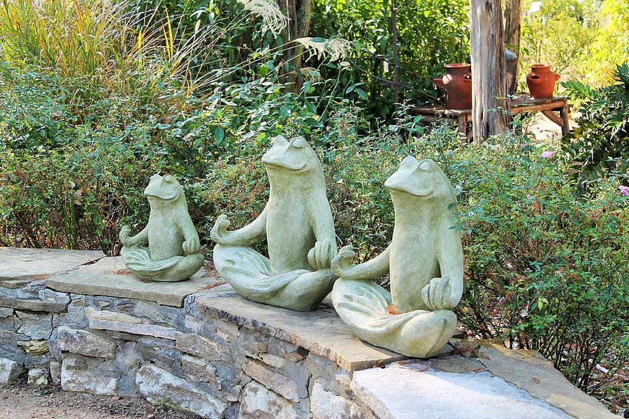 Meditating Frogs Photograph By Pretty Lilly Photography Fine Art America