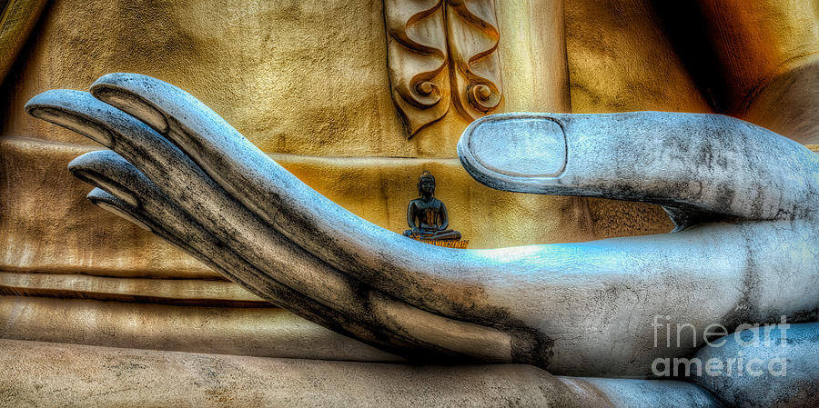 Buddha Photograph - Meditation  by Adrian Evans