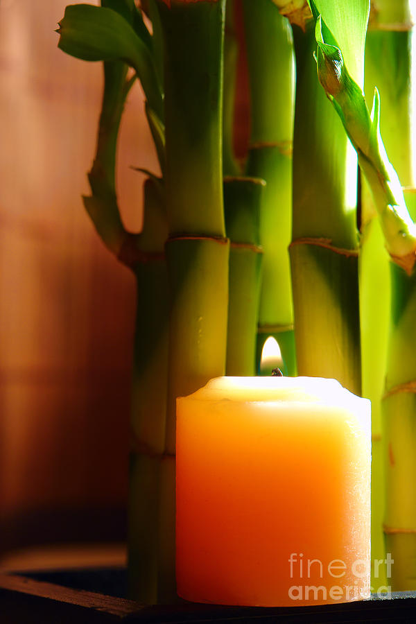 Meditation Candle and Bamboo Photograph by Olivier Le Queinec