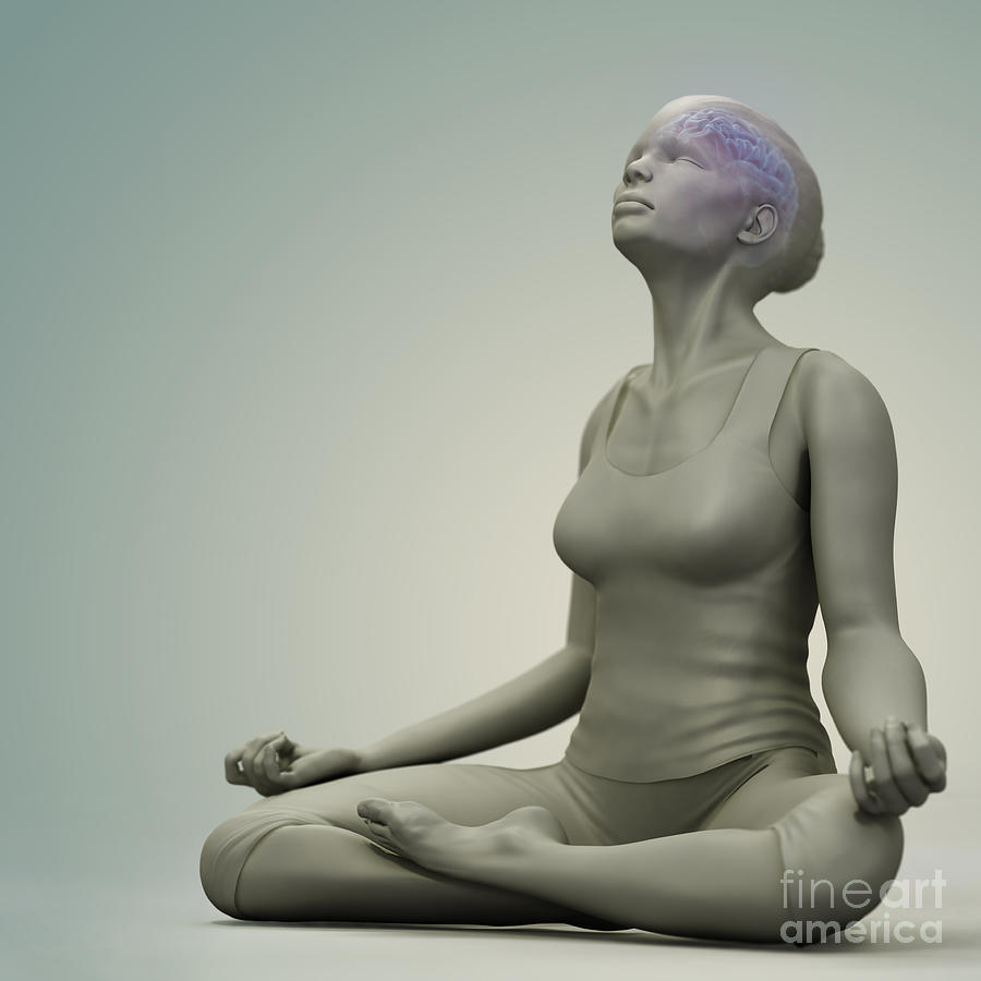 Fitness Photograph - Meditation Pose by Science Picture Co