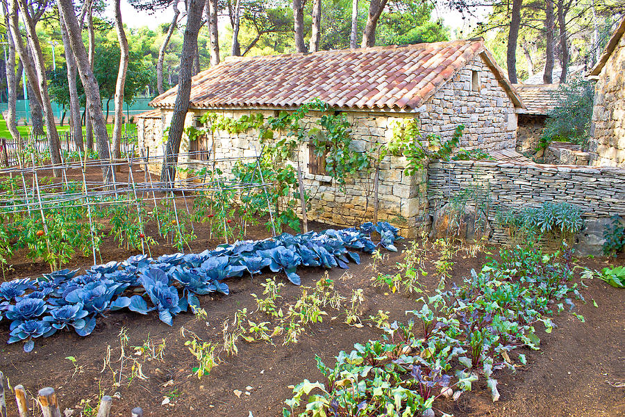 Mediterranean stone village garden vegetables Photograph by Brch Photography