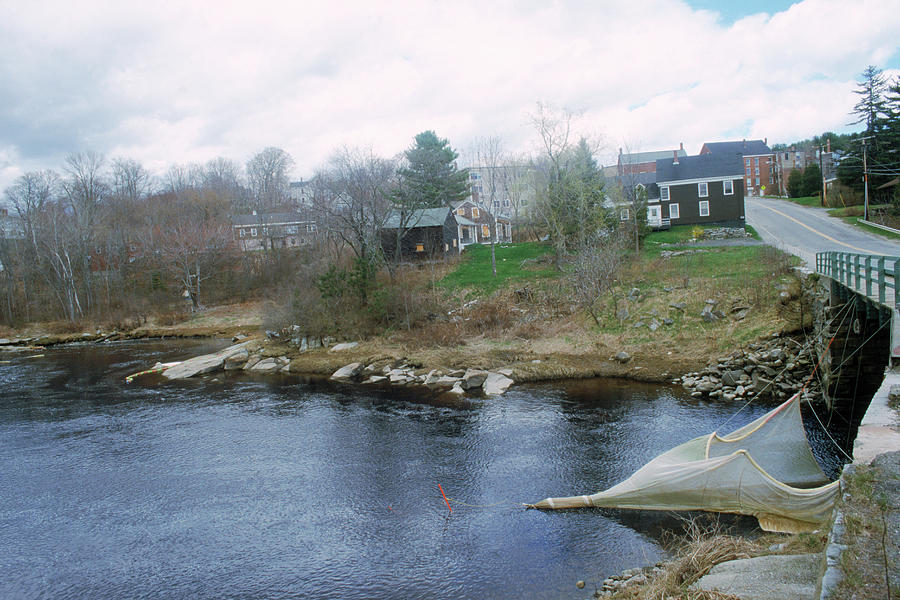 Medomak River, Waldoboro,maine Photograph by Nance Trueworthy Fine