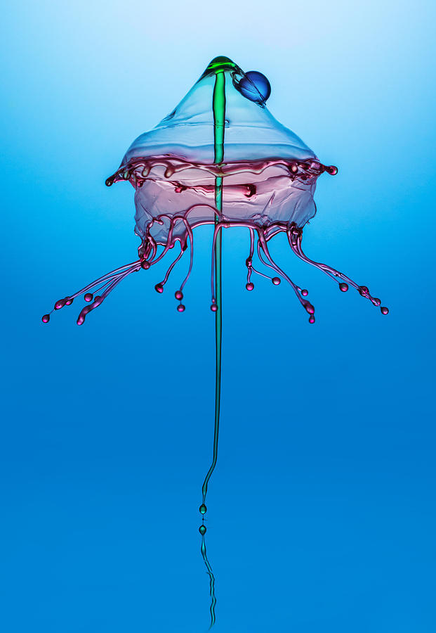 Medusa Photograph by Jaroslaw Blaminsky