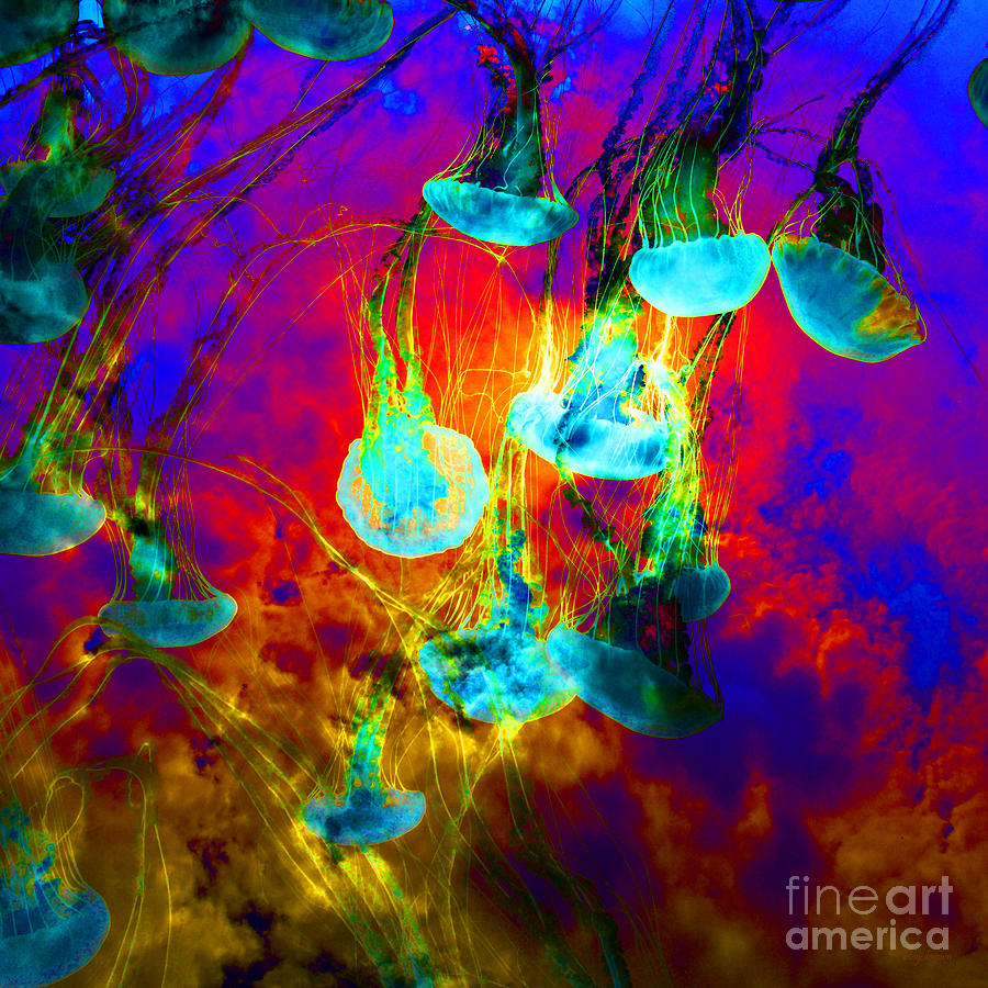 Medusas On Fire 5D24939 square Photograph by Wingsdomain Art and Photography