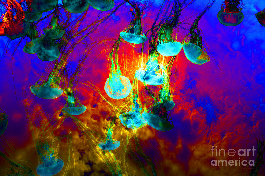 Medusas On Fire 5D24939 Photograph by Wingsdomain Art and Photography