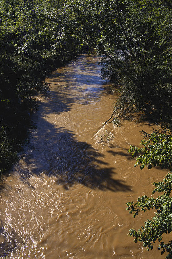 Meechums River After Flood, Virginia Photograph by Carleton Ray