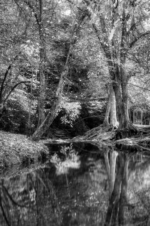 Fall Photograph - Meeks Park Autumn in Black and White by Greg and Chrystal Mimbs