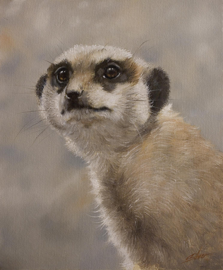 Wildlife Painting - Meerkat portrait I by John Silver