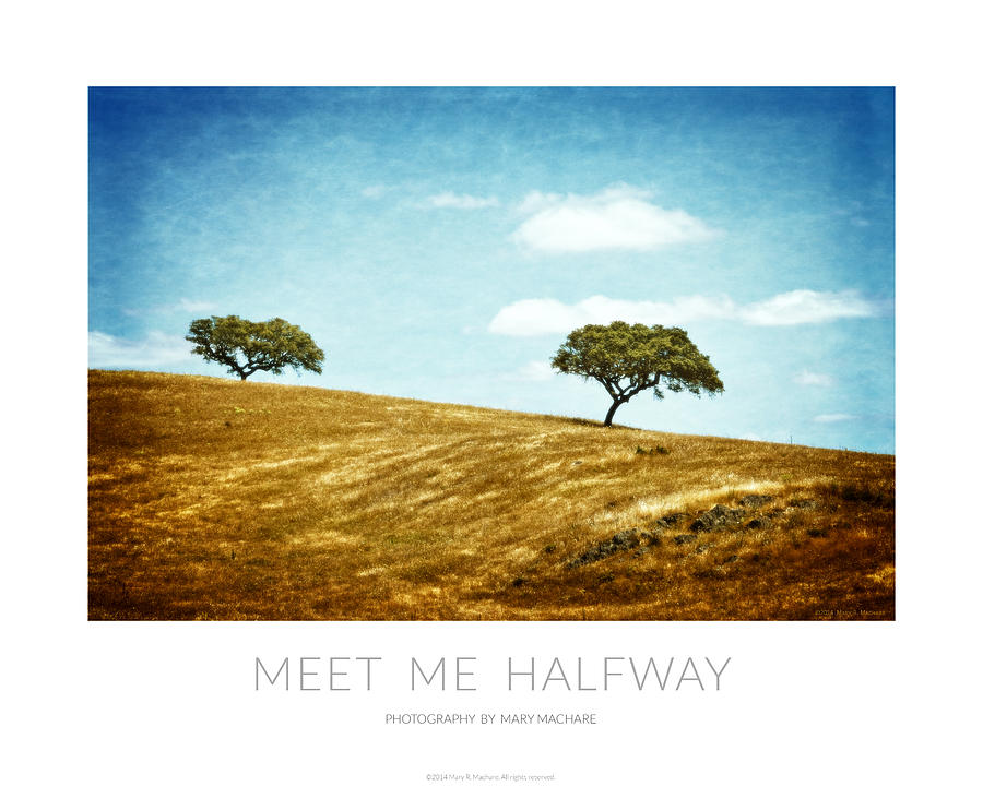 Meet Me Halfway - Poster Photograph by Mary Machare
