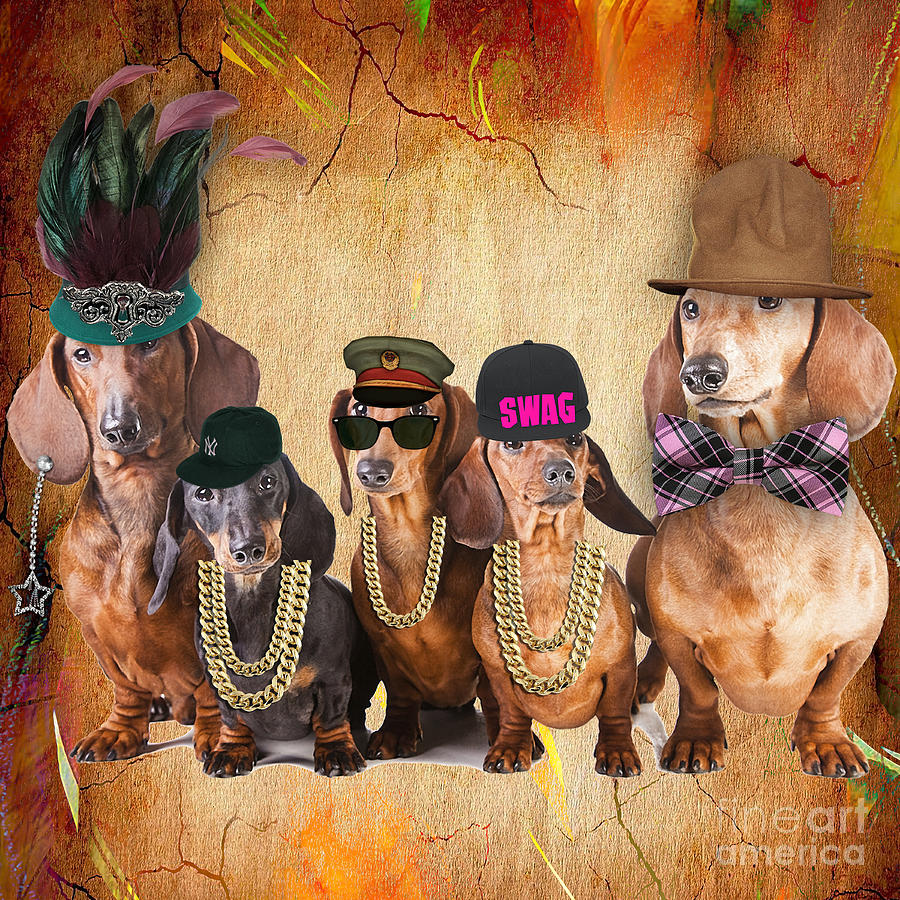 Cool Mixed Media - Meet The Dachshund by Marvin Blaine