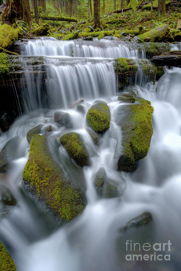 Olympic National Park Photograph - Megaflow by Marco Crupi
