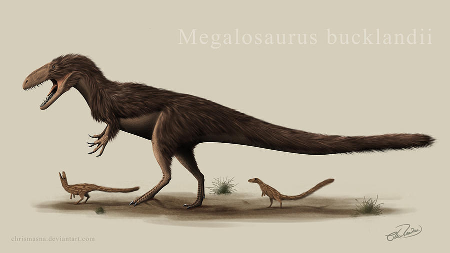 Megalosaurus Digital Art by Christian Masnaghetti