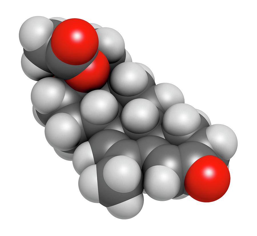 Molecular Model Photograph - Megestrol Acetate Appetite Stimulant Drug by Molekuul/science Photo Library