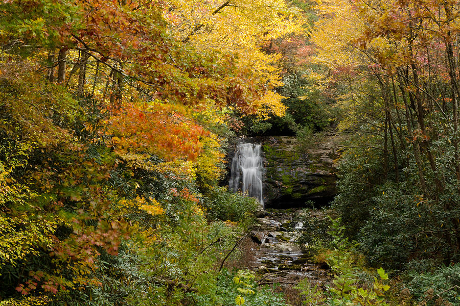 Meigs Falls Photograph by Kristina Plaas - Fine Art America