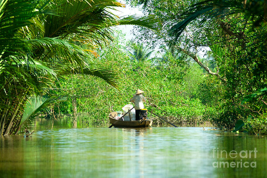 Mekong delta - Vietnam Photograph by Luciano Mortula