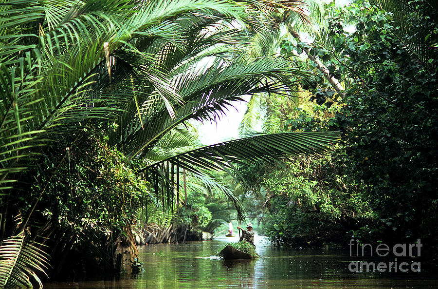 Boat Photograph - Mekong Delta Backwater 01 by Rick Piper Photography