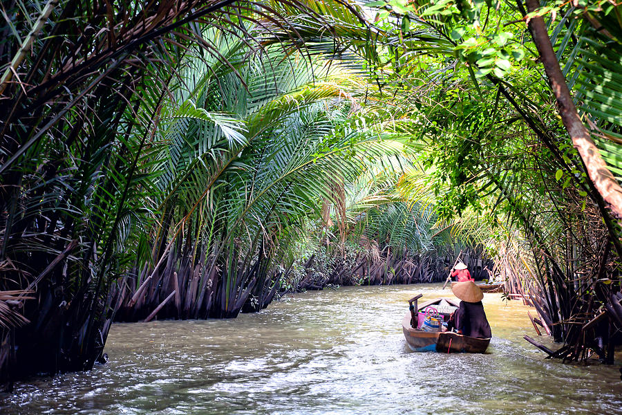 Mekong Delta, Vietnam Photograph by Alxpin