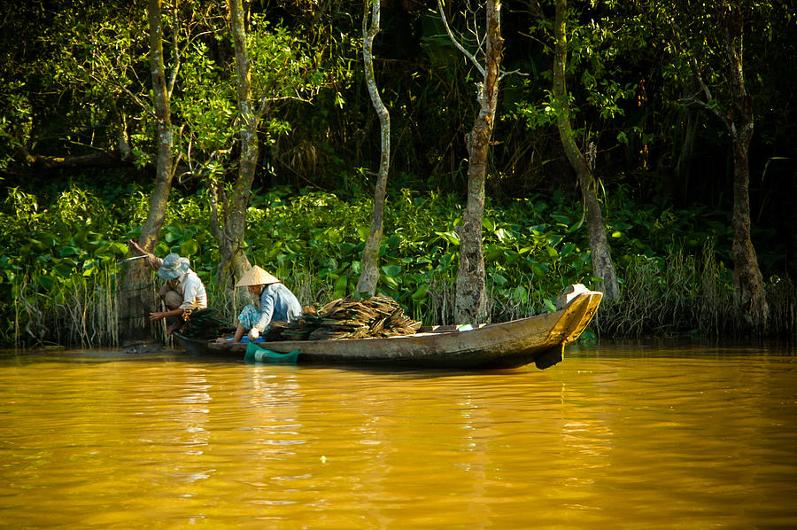 Fish Photograph - Mekong River Fishing by Mark Llewellyn