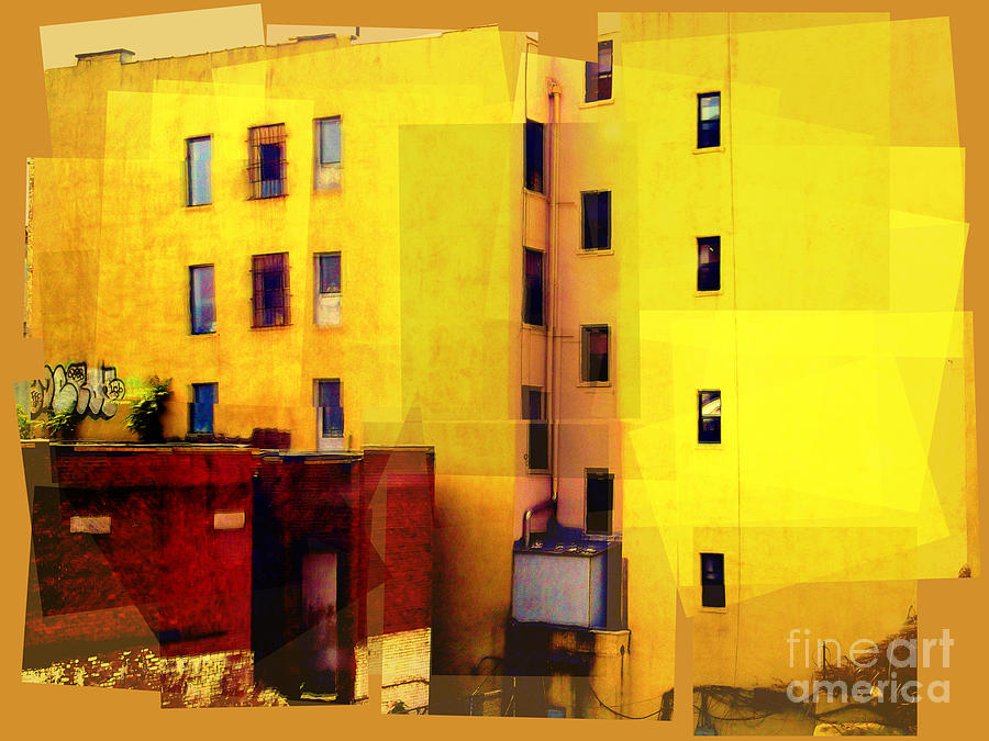 Mellow Yellow Photograph by Miriam Danar