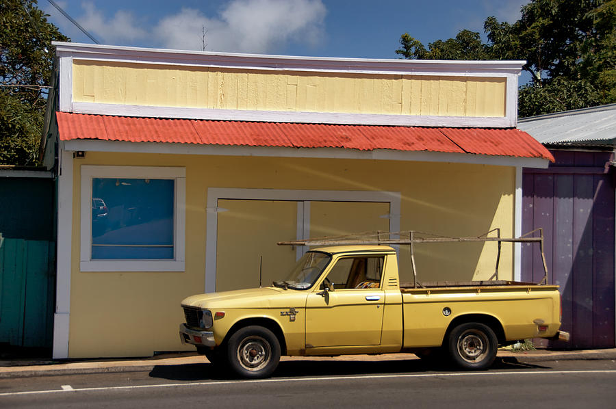 Mellow Yellow by Trever Miller Mellow Yellow by Trever Miller