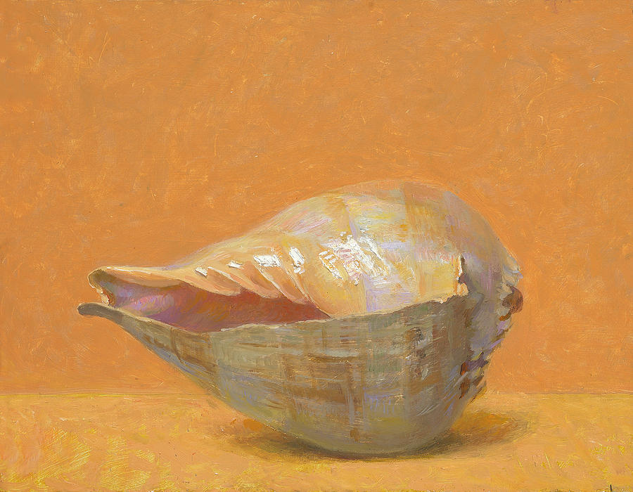 Seashells Painting - Melo Aethiopicus by Ben Rikken Seashells Painting - Melo Aethiopicus by Ben Rikken