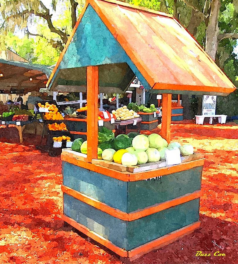 Melon Bin Photograph by Buzz Coe