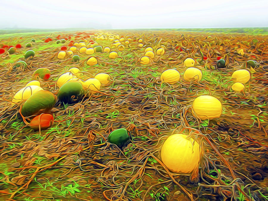 Melon Patch Digital Art by William Horden
