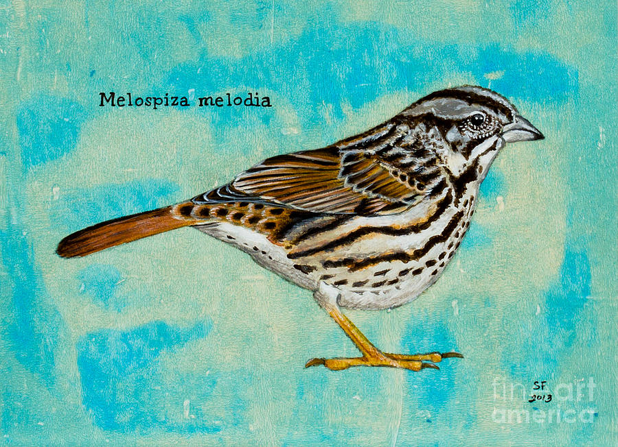 Melospiza melodia Painting by Stefanie Forck