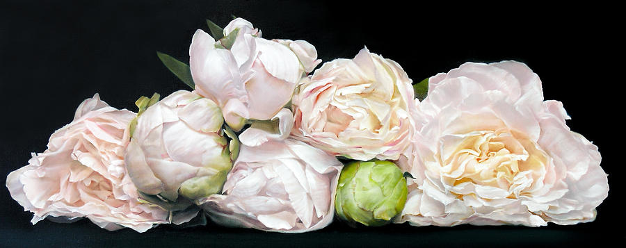Flower Painting - Mels Peonies 55 x 136 cm by Thomas Darnell