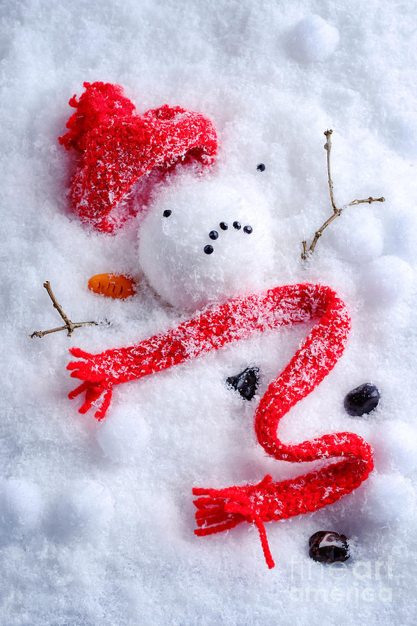 Carrot Photograph - Melted Snowman by Amanda Elwell