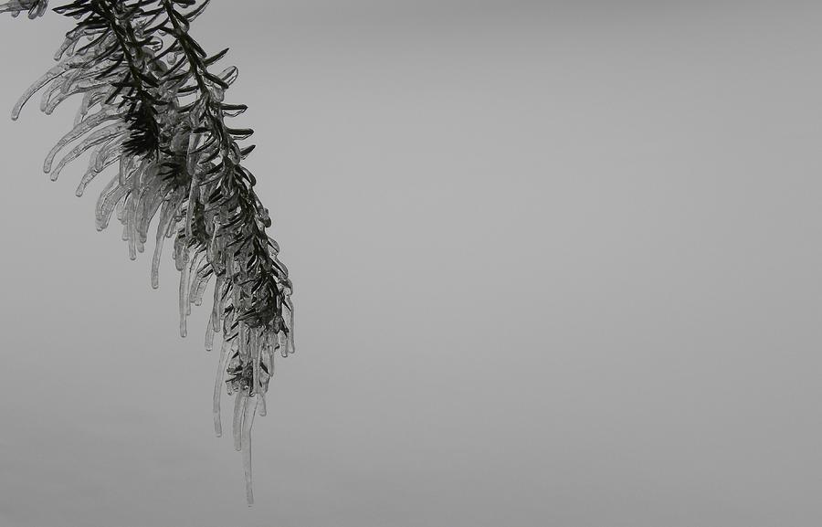 Melting Ice Photograph by Edwin Alverio