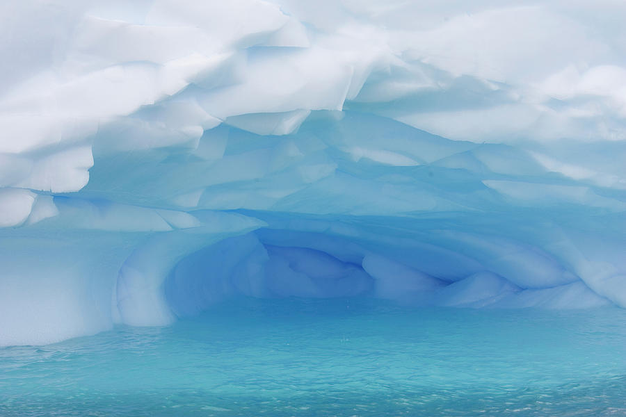 Melting Iceberg Cuverville Island Photograph by Suzi Eszterhas