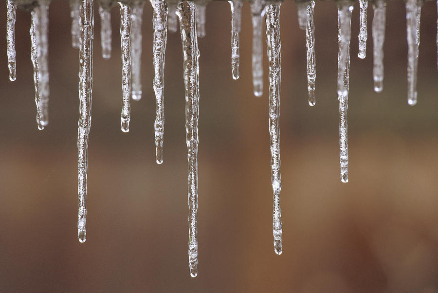 Melting Icicles Photograph by Gerry Ellis