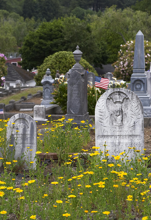 Memorial Day In Gravestones and Daisies Photograph by Lorraine Devon Wilke