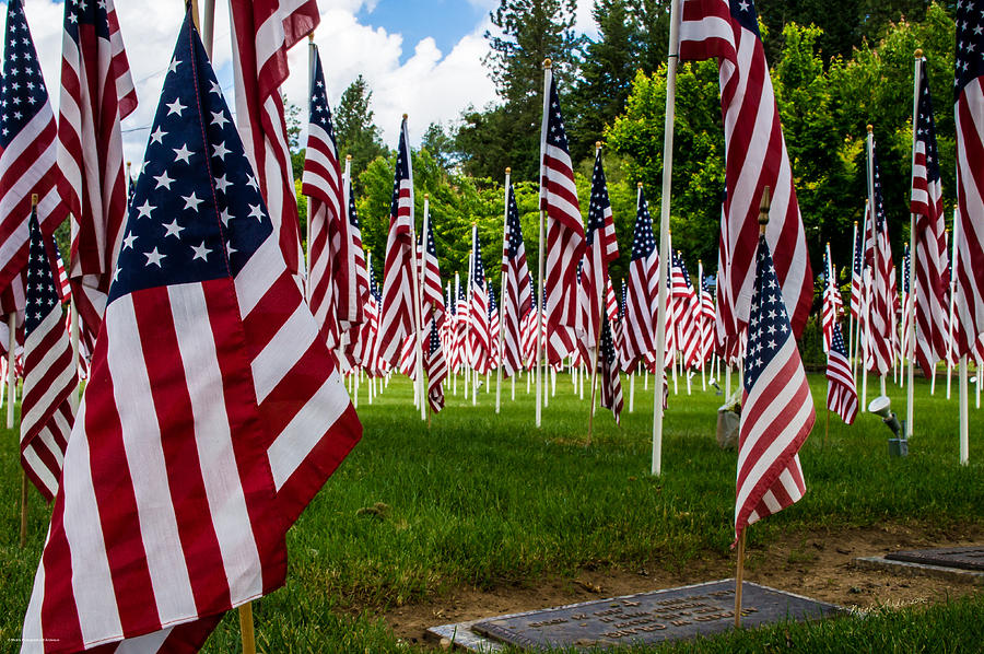 Memorial Day Tribute Photograph by Mick Anderson