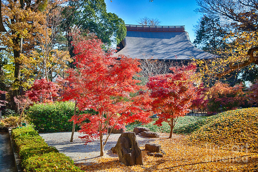 Japan Photograph - Memories of autumn-1 by Tad Kanazaki Japan Photograph - Memories of autumn-1 by Tad Kanazaki