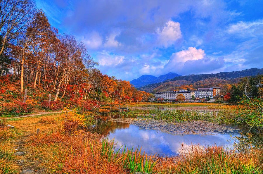 Memories of Autumn Photograph by Midori Chan