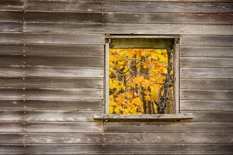 Fall Photograph - Memories of Autumn by Penny Meyers