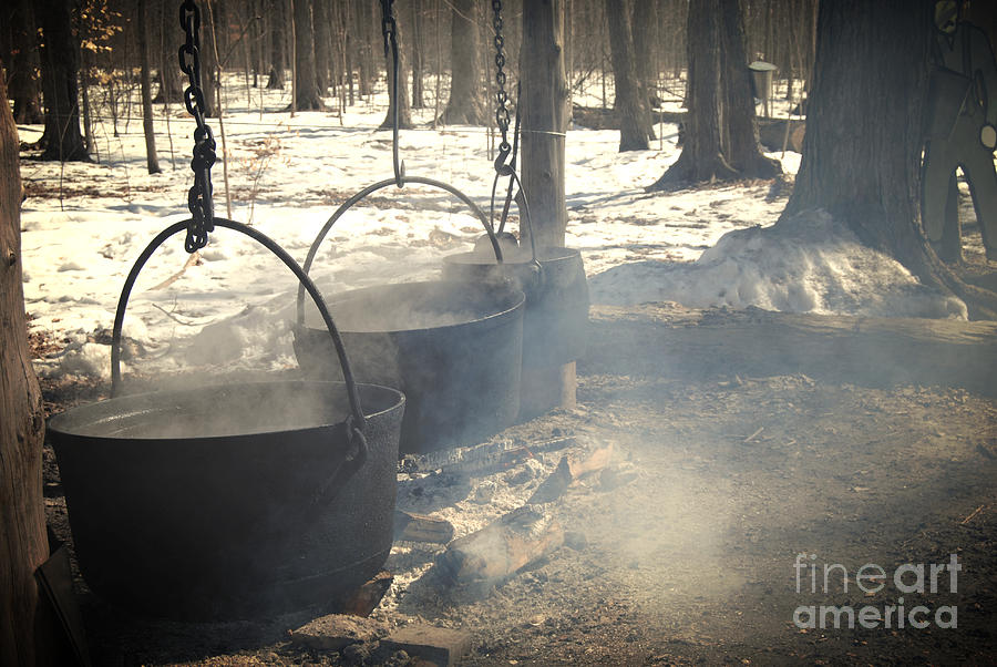 Spring Photograph - Memories Of Making Maple Syrup by Samantha Black
