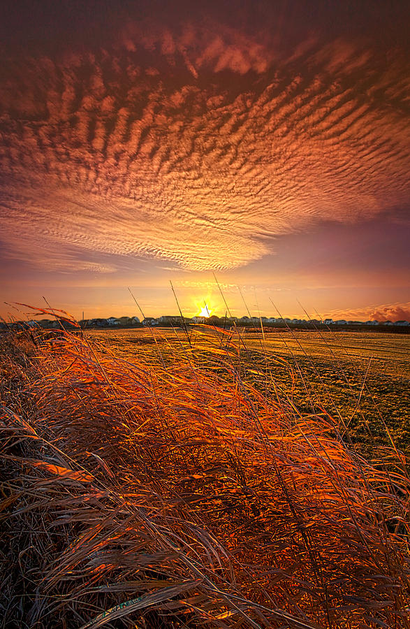 Memories of Whispered Thoughts Photograph by Phil Koch