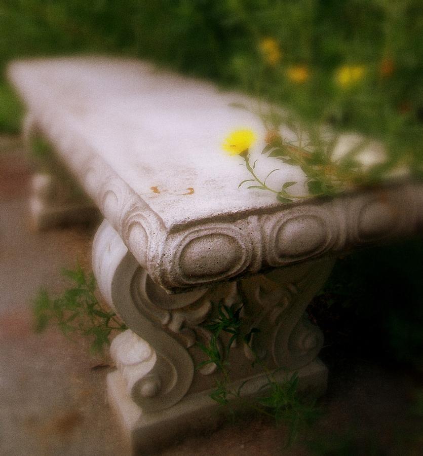 Bench Photograph - Memories Remain by Rebecca Haas