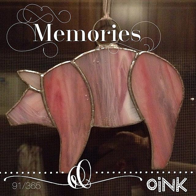 Pig Photograph - Memories. This Pink Piggie Was A Gift by Teresa Mucha