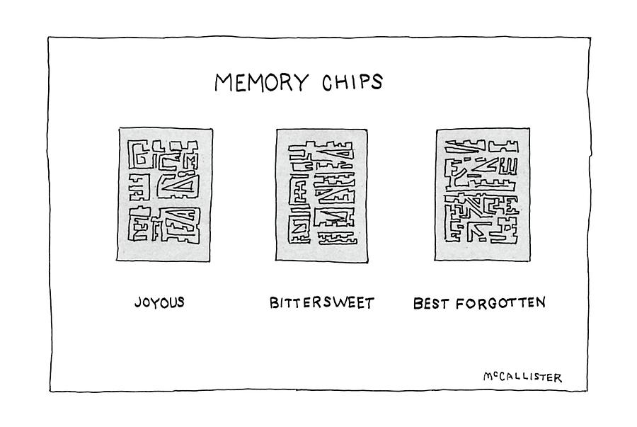 Memory Chips Drawing by Richard McCallister