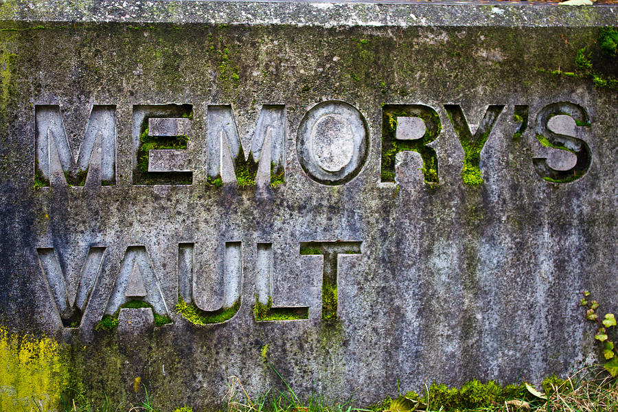 Memorys Vault Photograph by Marie Jamieson