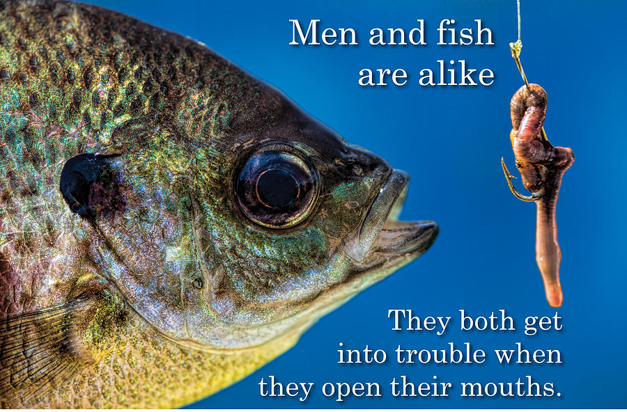 Men and Fish are alike Photograph by John Crothers