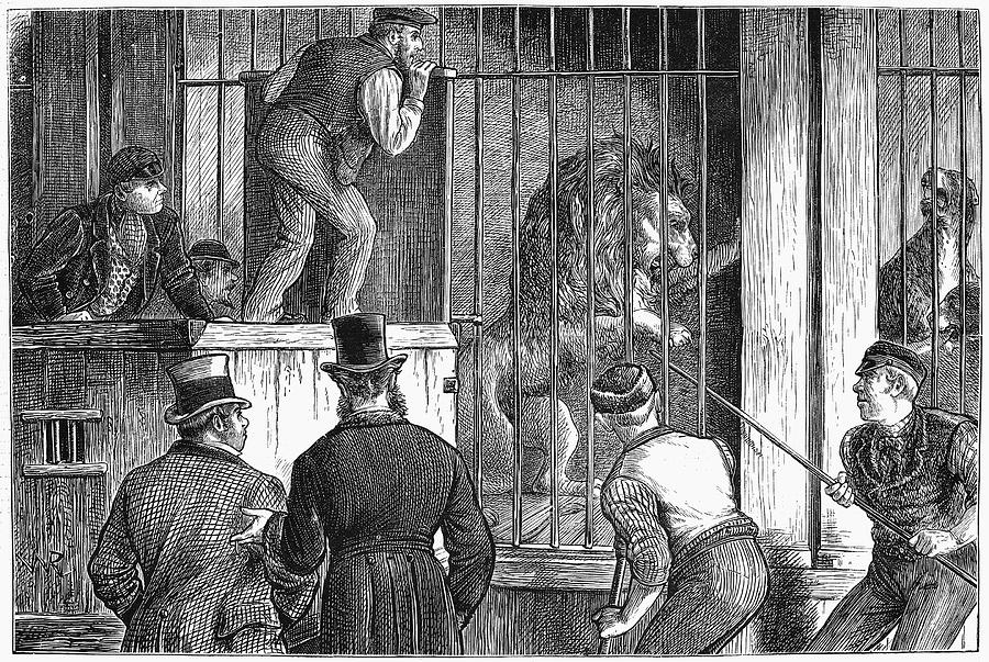 Lion Painting - Menagerie Sale, 1872 by Granger