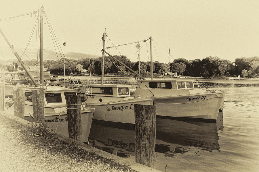 Menchville Marina in Sepia Photograph by Ola Allen