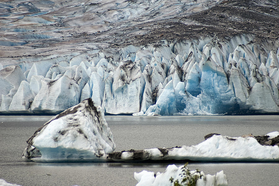 Mendenhall Glacier 2 Photograph by Wayne Meyer